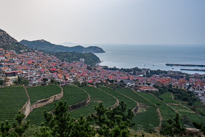 成都导游怎么联系(自己旅游怎么找导游)