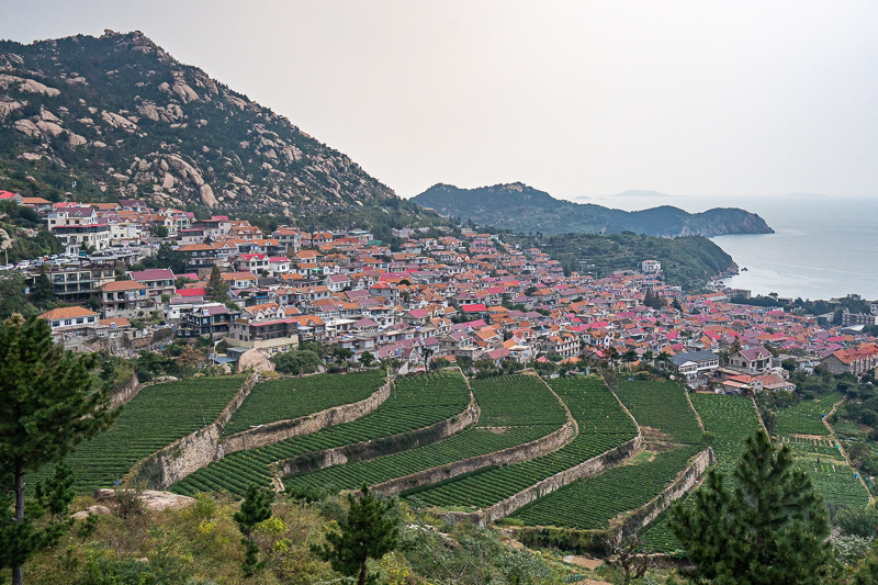 成都都江堰跟团导游(成都一对一导游)