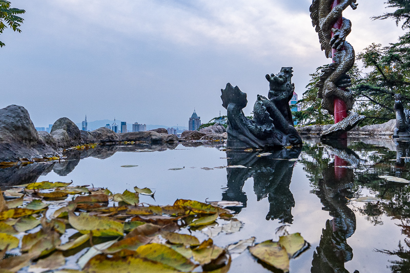 成都旅游导游依依(成都旅游当地导游)