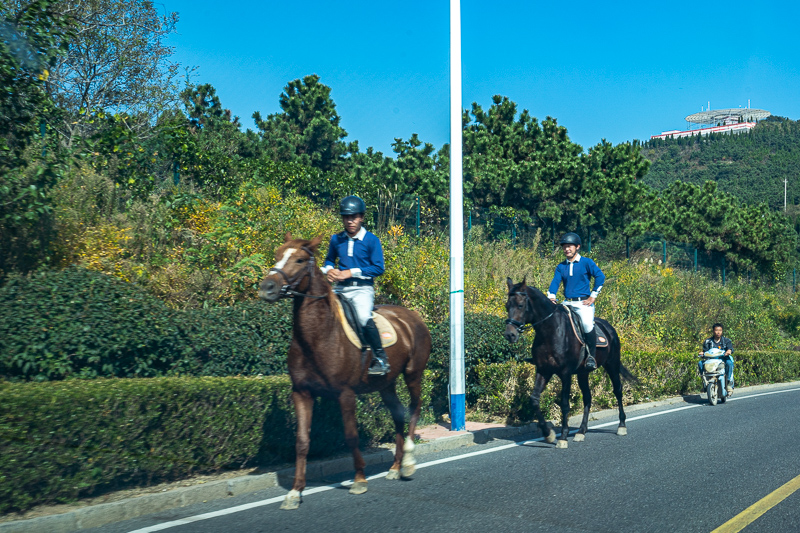 襄阳到重庆导游多少钱(2022襄阳古龙中门票多少钱)