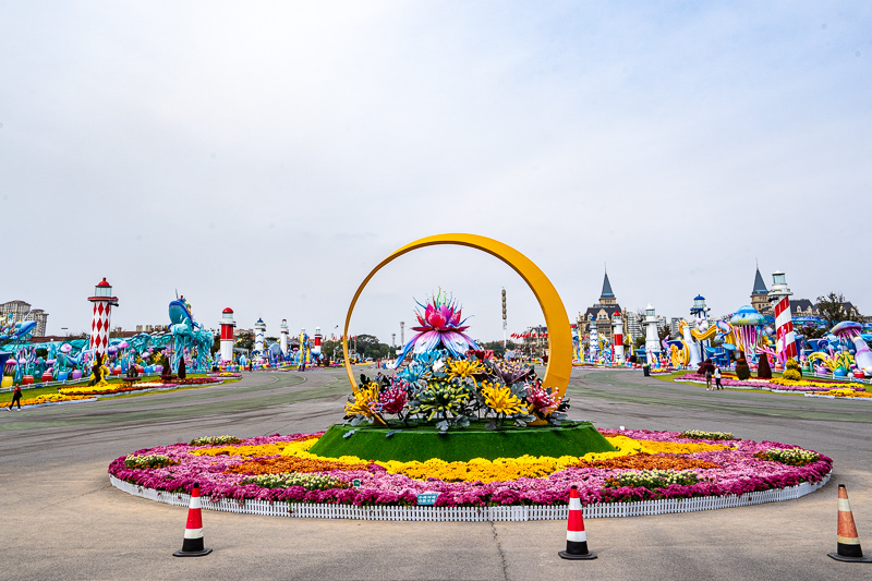 网红重庆导游(重庆旅行避坑指南)