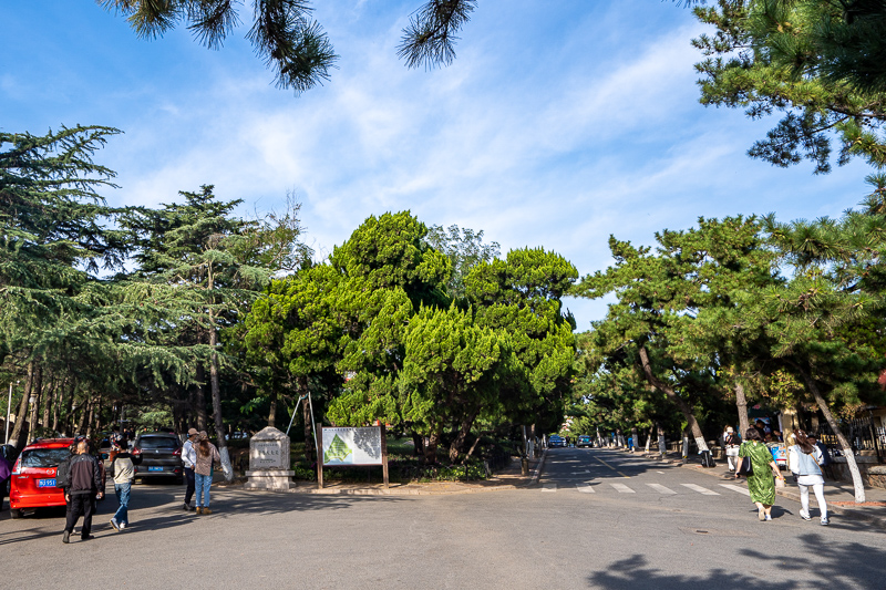 重庆一日游跟导游哪个好(一日游旅游团)