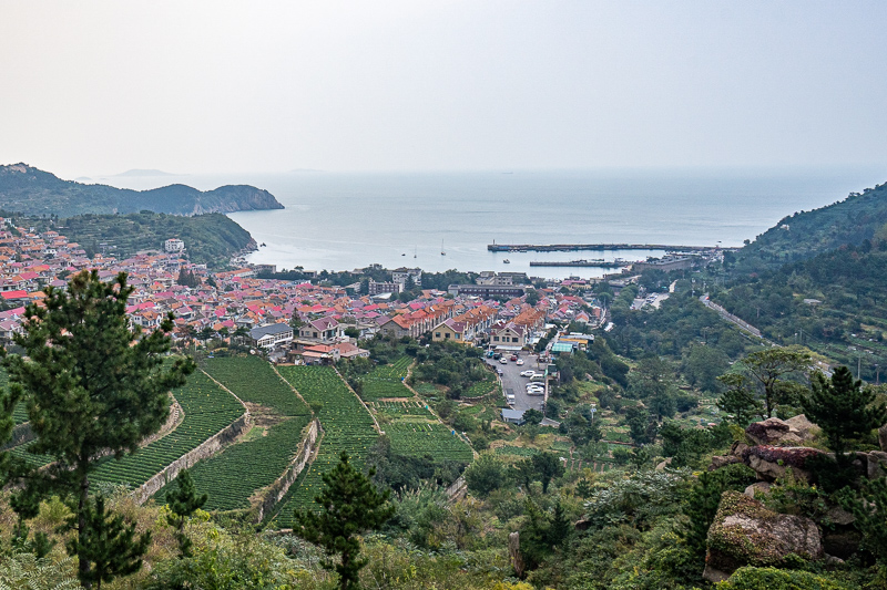 重庆到拉萨的导游团(去西藏拉萨旅游。)