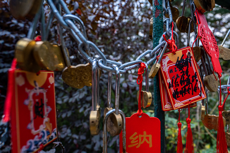 去桂林旅游请导游(桂林知名导游人员表)