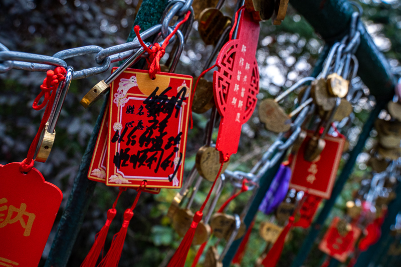桂林应聘导游要求(桂林应聘导游要求条件)
