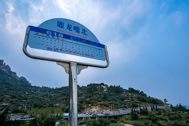 桂林导游带去买玉器能买吗(你们去过桂林吗他们的玉和银饰是真的吗)