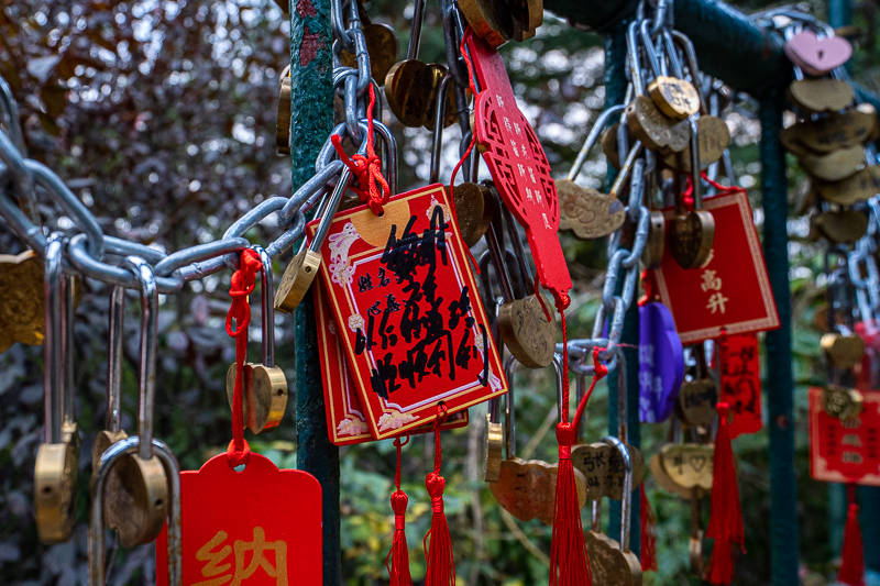 桂林导游大黄(桂林怎么玩攻略)