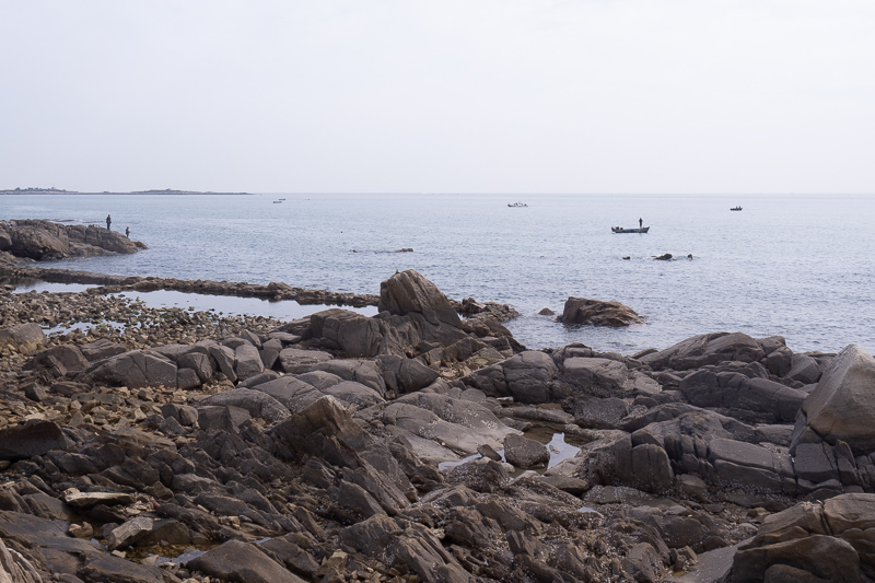 去桂林找导游怎么找的好一点(桂林旅游找导游)