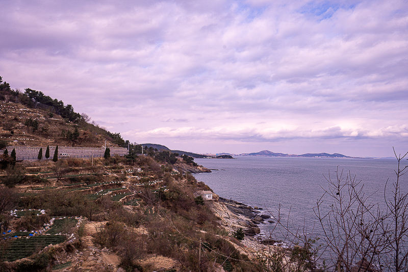 威海自由行 威海旅游团