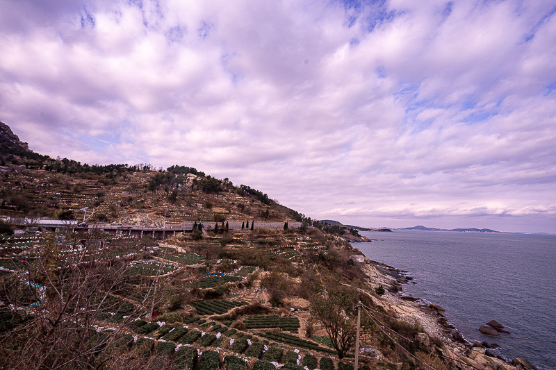 成都旅游费用(去威海旅游需要多少钱)