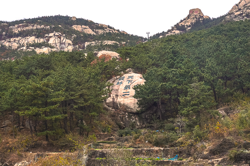 旅顺到烟台船票查询？威海港口