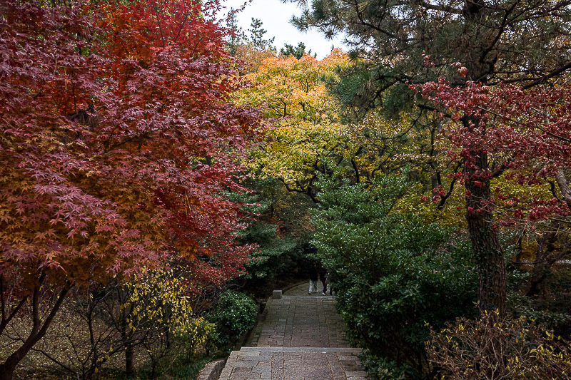 保定有多少大学(保定到威海)