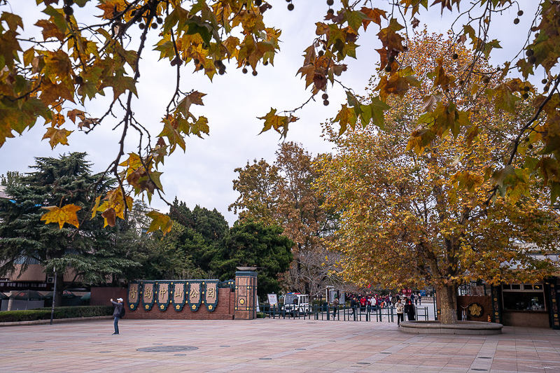 从威海到青岛旅游坐车到哪里(威海到青岛怎么走方便)
