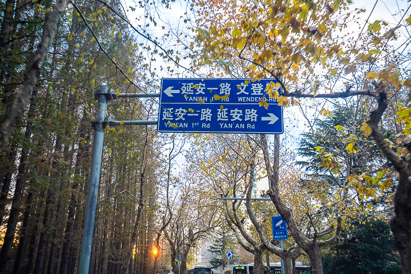 上海到威海怎么去最方便(上海到威海动车)
