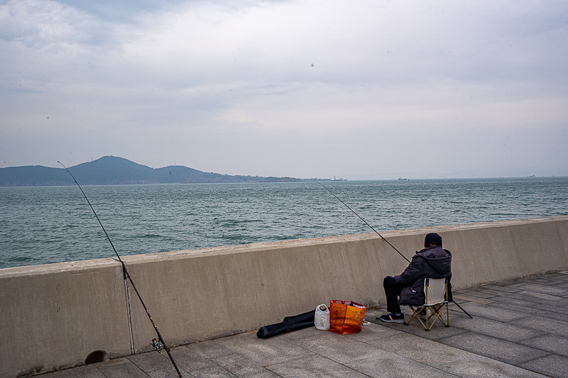 上海观光旅游巴士票价？威海环海路观光巴士