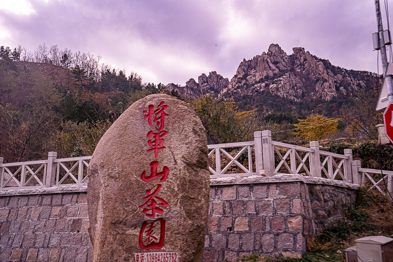 三亚最好的海景房小区，海景房别墅