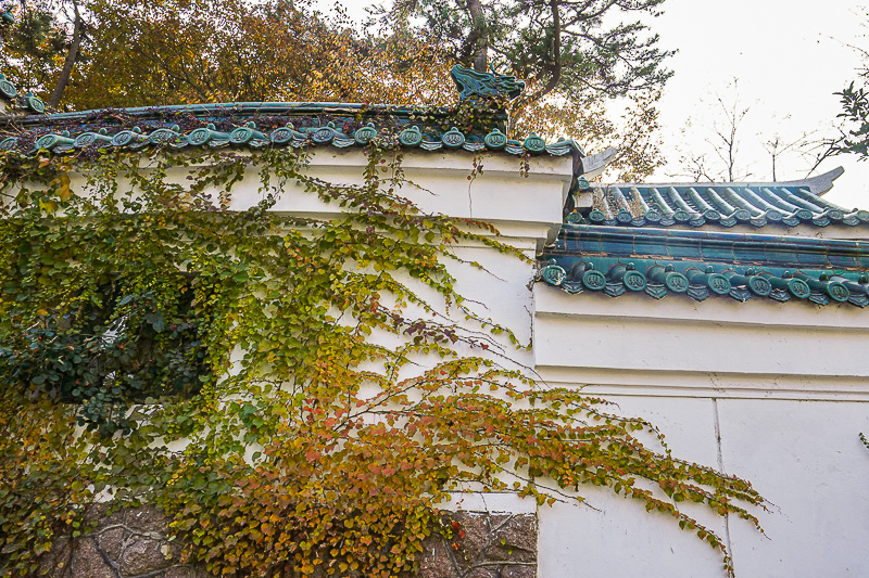 威海厂门口包车(威海租车公司哪家便宜)