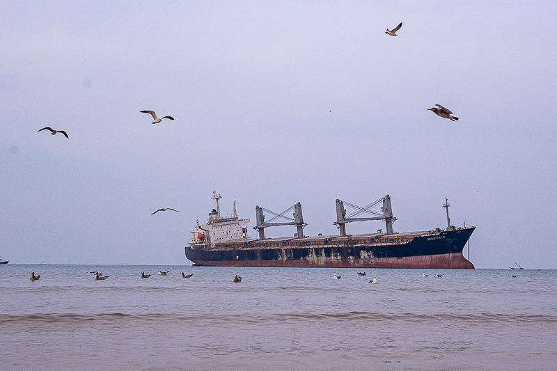 威海滴滴包车价格表(威海滴滴包车价格表图片)