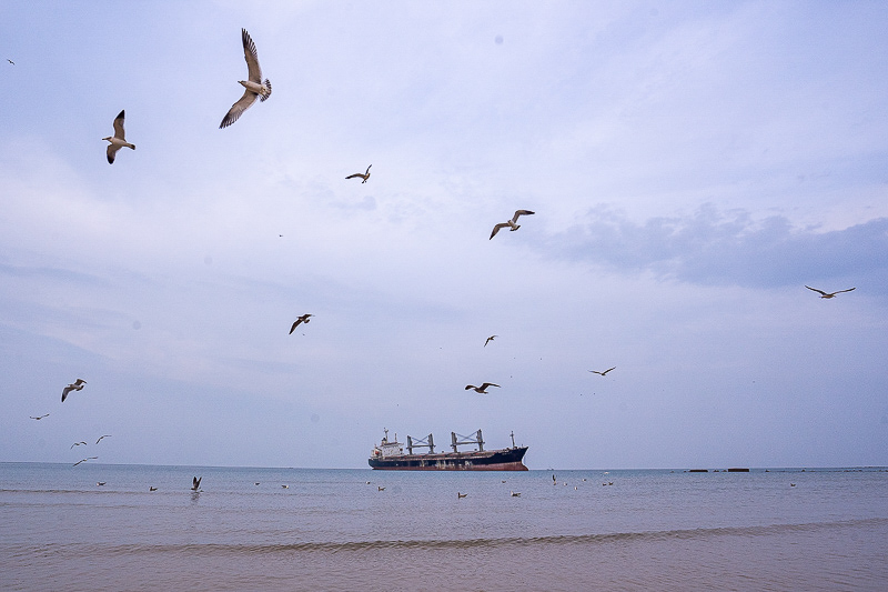 威海环海租车包车(大理环海租车怎么写好评)