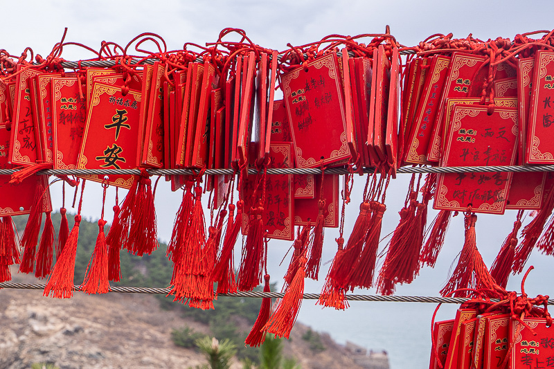 威海旅行建议包车么(威海旅游包车)