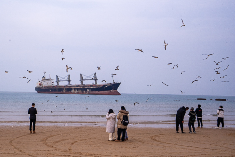 海阳北站到威海动车(威海北站的列车时刻)