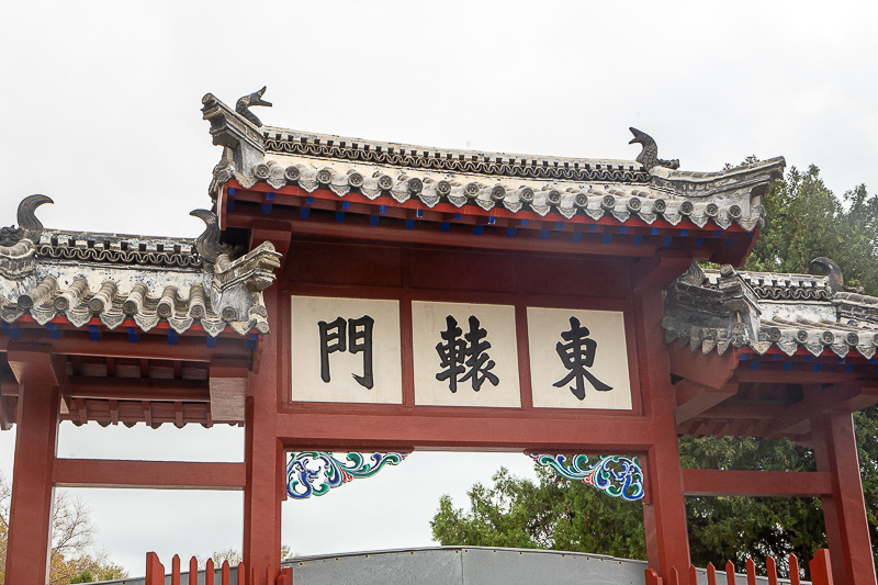 长垣东站到山东威海(从长垣东站到山东黄河边怎么走)