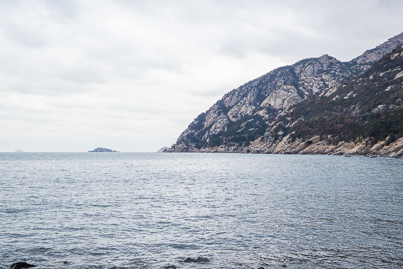 龙海包车去厦门多少钱(龙海有去厦门北站的车吗)