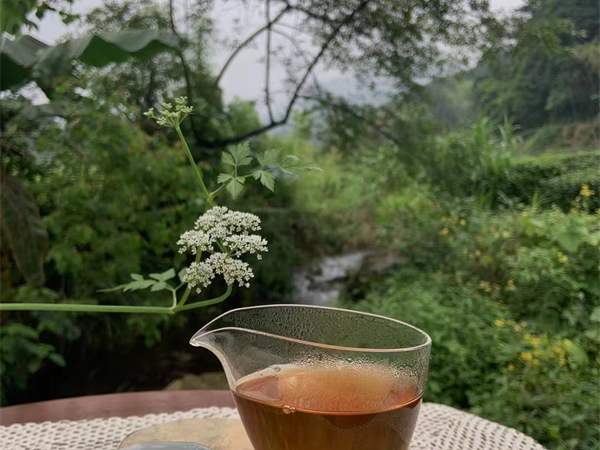 广州包车出发厦门要多少钱 广州到深圳包车多少钱一天