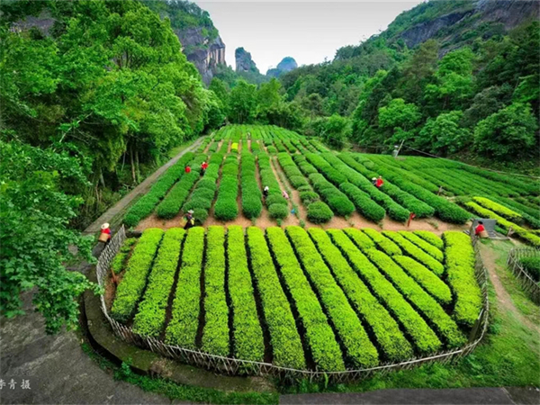 淮北土楼娃娃饭店电话？淮北的任土楼在哪里