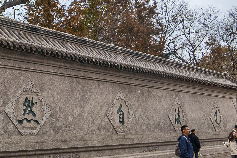 土楼百灵什么价格 土楼百灵的功效与主治