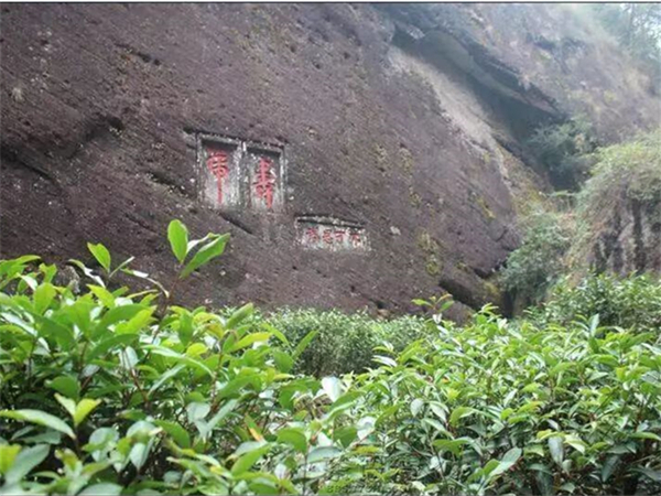 西安的导游机场在哪里建，西安旅游机场