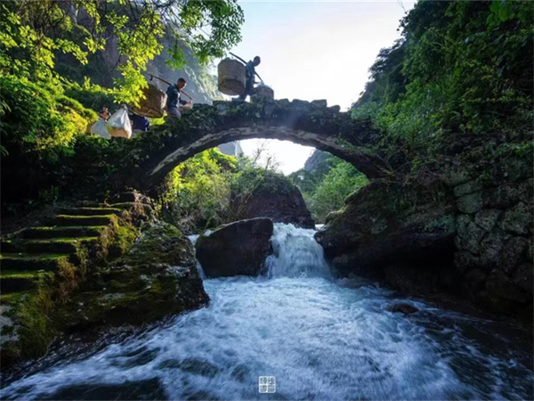 西安旅游请一天导游(西安旅游导游价格表)