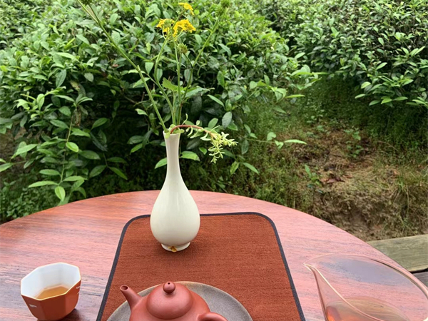 西安旅游找个导游多少钱 西安旅游找导游还是自行游