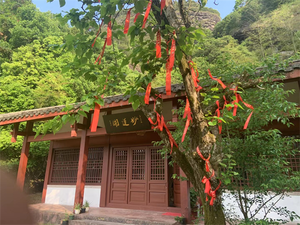 西安的有名导游有哪些人，西安著名导游