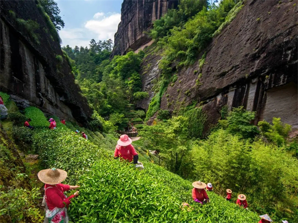 西安地陪导游？西安的景点有哪些
