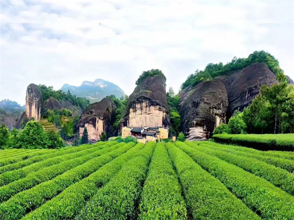 西安地陪导游(去西安旅游几月份去最好)