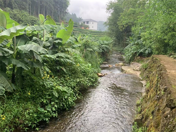 西安外国女导游多吗现在 沈阳到西安旅游