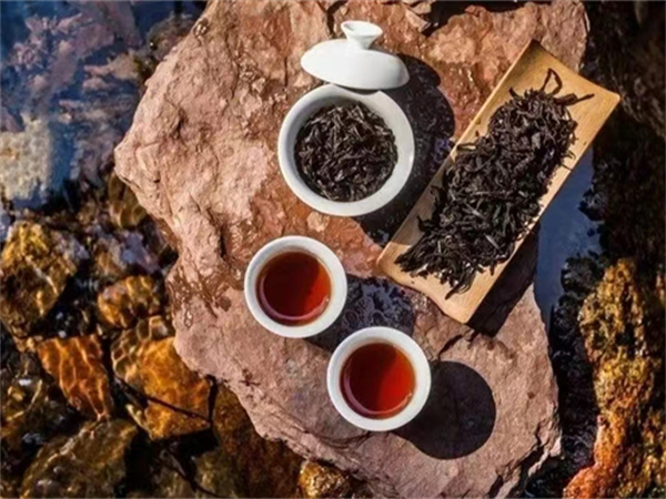 西安口碑好的私人导游 接待外国游客的导游