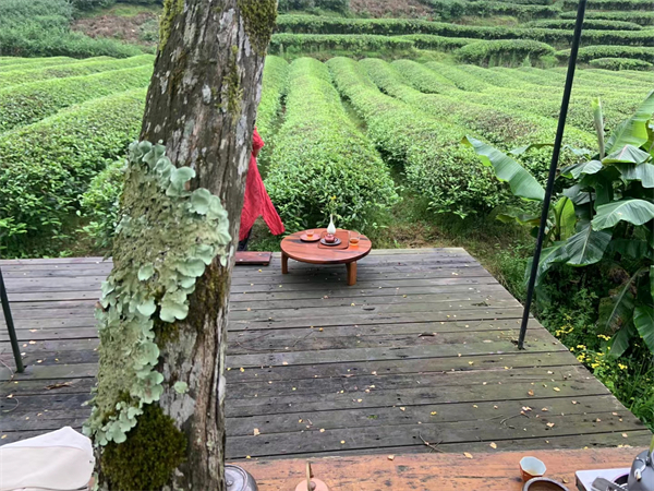 以导游的身份介绍小石潭？西安兵马俑网红导游