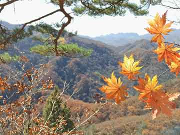 青岛风景照片实拍图片？青岛景点排行榜前十名