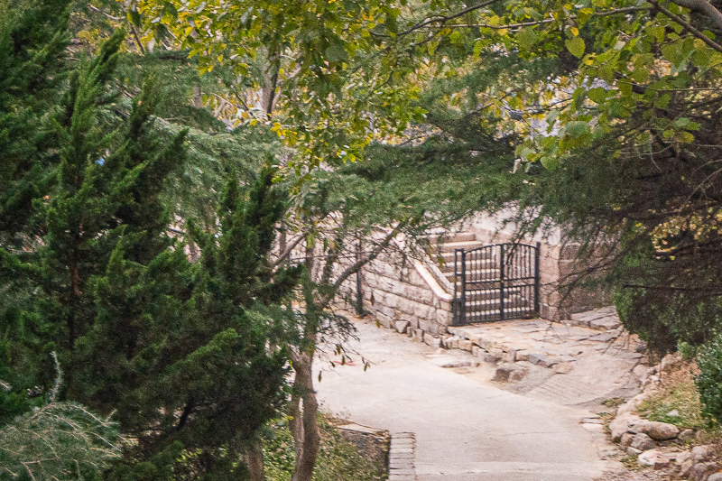 青岛定制团旅游公司，青岛定制团旅游公司电话