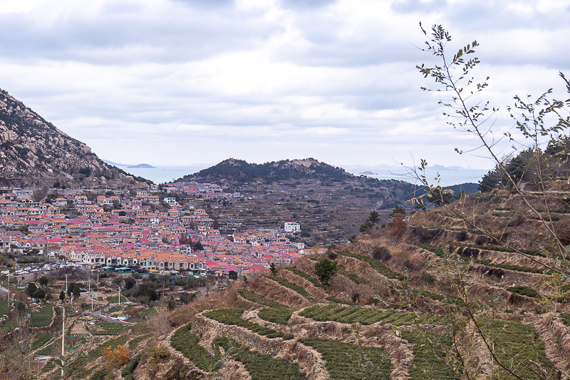 临沂到青岛的旅游团？临沂到青岛物流专线56