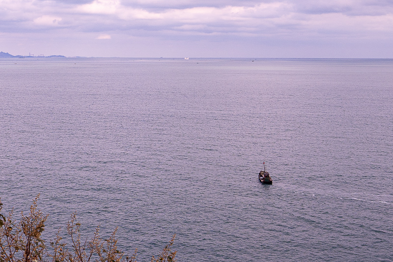 青岛游船出海在哪坐船(从青岛渡轮出海都能去哪)