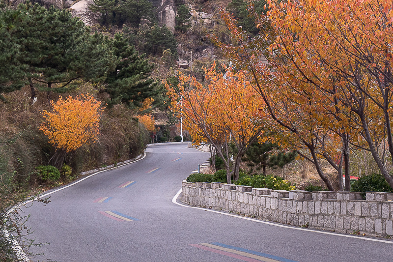 青岛旅游青春自驾游，青岛旅游青春自驾游路线