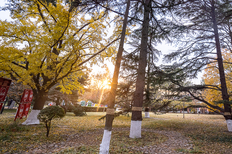 青岛旅游美食自助火锅价格，青岛火锅自助餐推荐