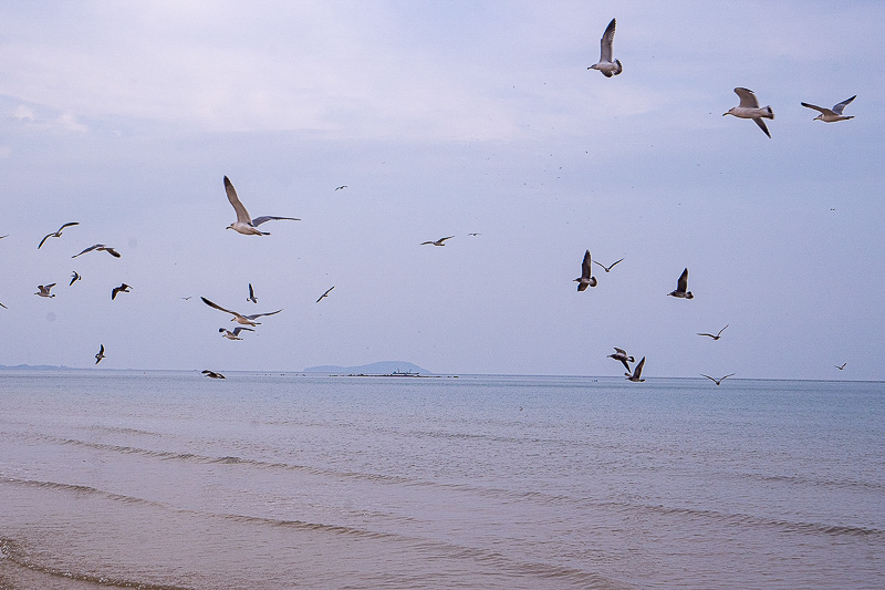 青岛旅游海滩攻略必去景点，青岛旅游海滩攻略必去景点有哪些