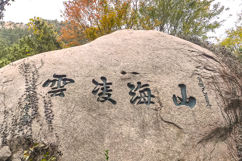 青岛旅游赶海适合去哪(青岛旅游赶海地点)