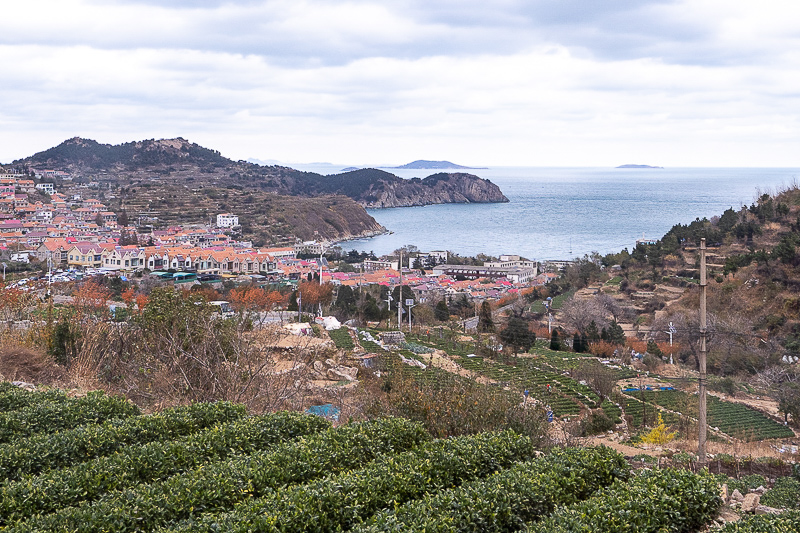 青岛旅游遵守什么规则了 青岛旅游要求