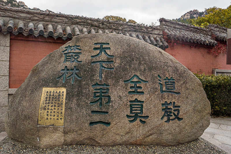 青岛旅游找燕子，青岛旅游找燕子在哪里