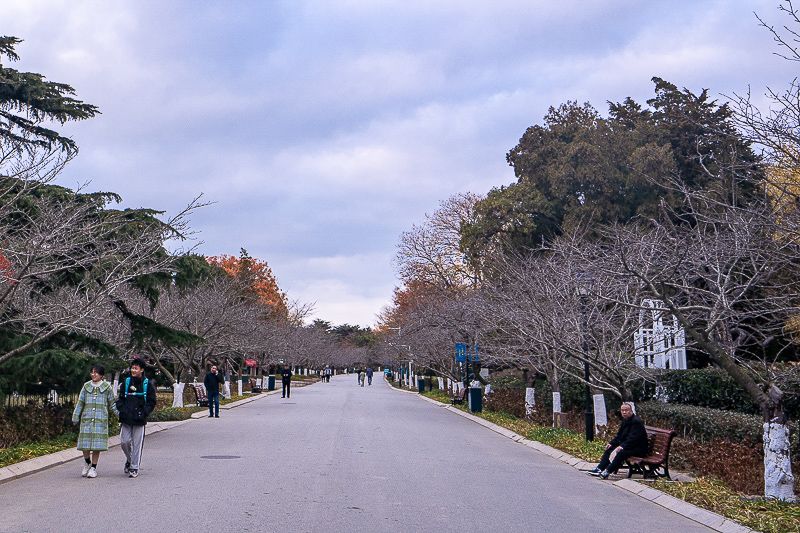 青岛旅游攻略离机场近 青岛旅游攻略离机场近的景点